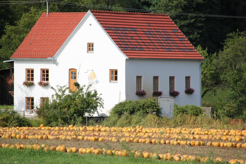 Апартаменти Buchgrabenhof Windisch Minihof Екстер'єр фото